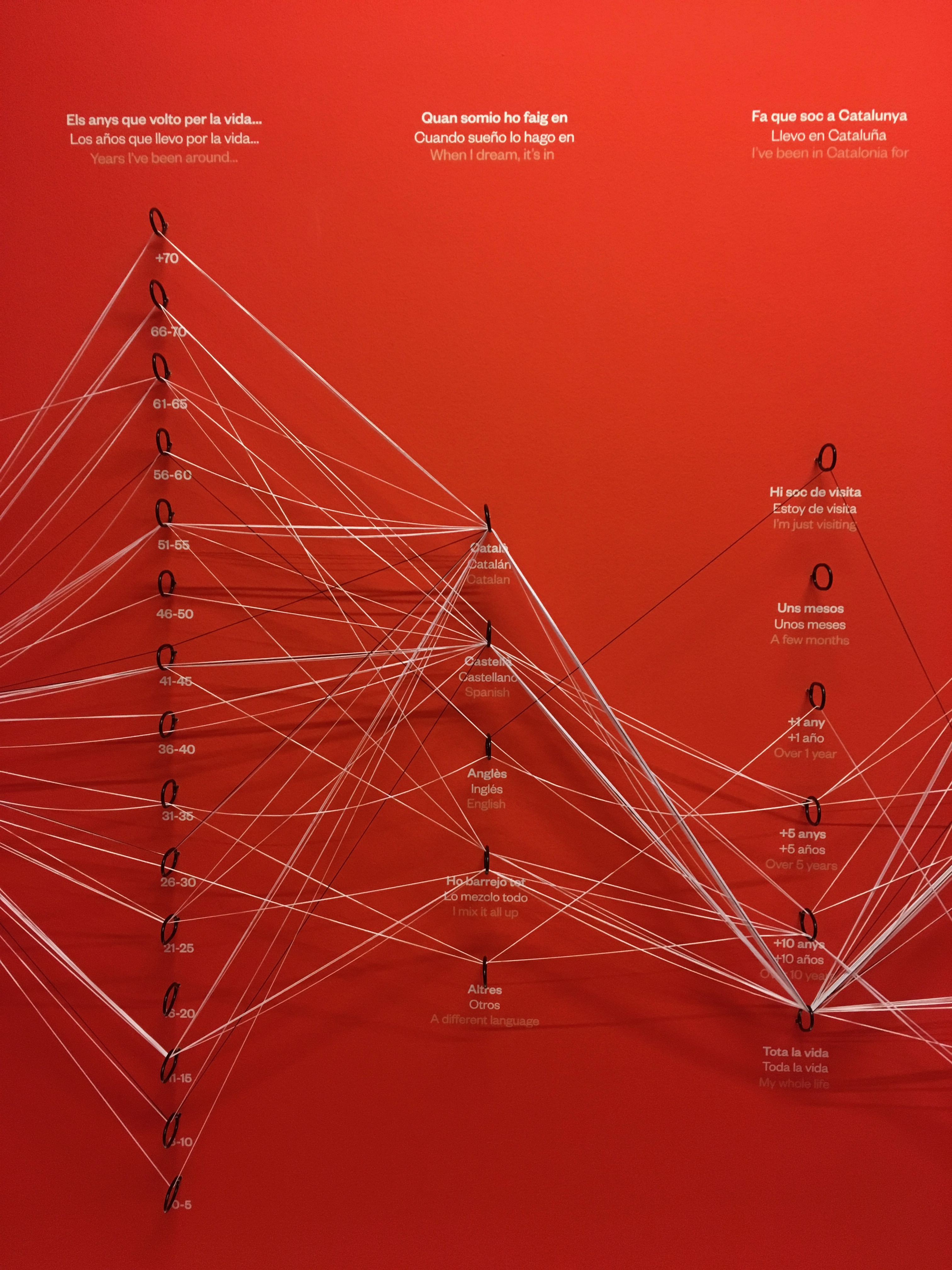 Closeup view of string visualization of life choices on a red wall